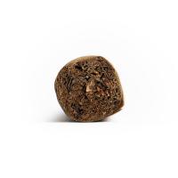 AVO Expressions Limited Edition 2024 Cigar - 1 Single